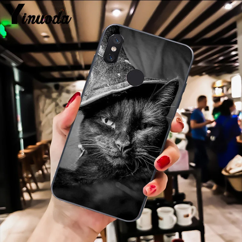 Cute Black Cat Staring Eyes 