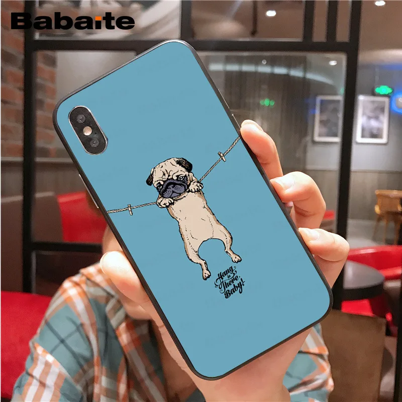 Cute lovely pug dogs animals