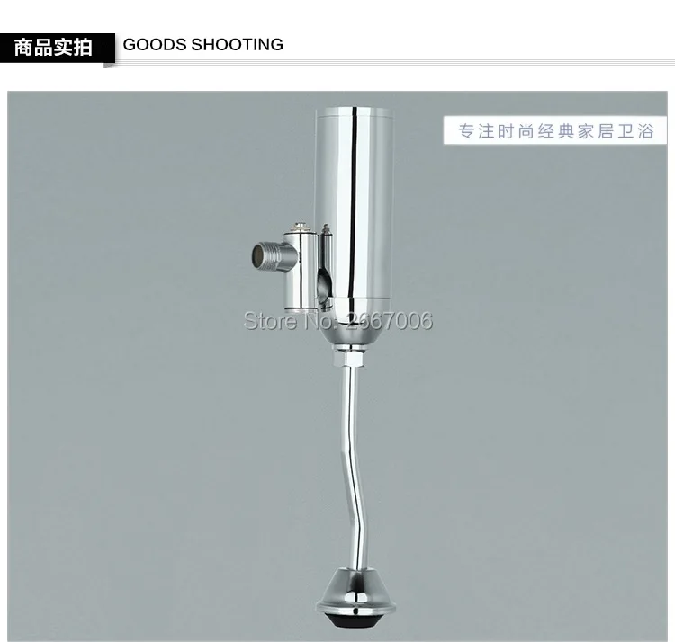 ZR6209 (2)