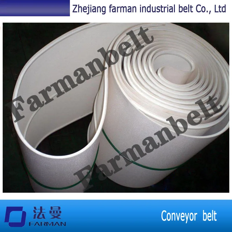 

Stainless Steel Stepless Speed Adjustment PU Conveyor Belt