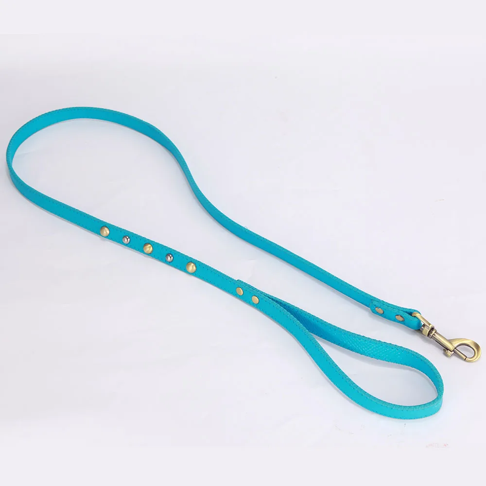 dog leash 4