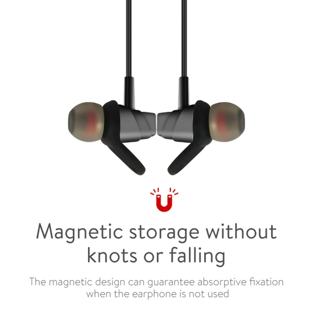 ZS (4)