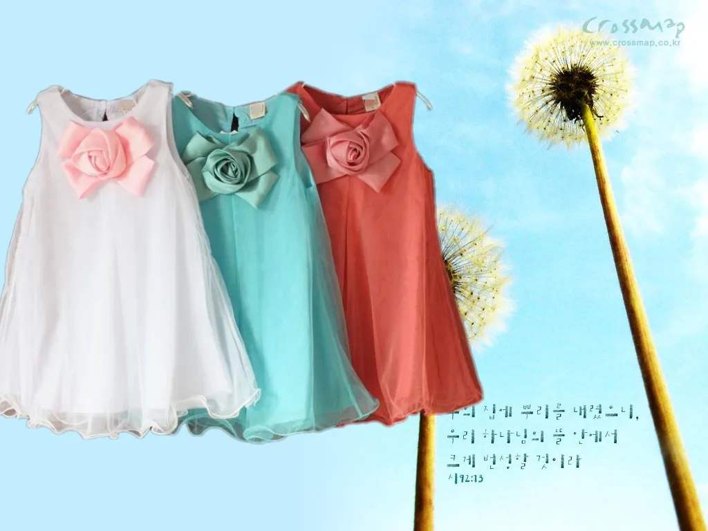 Dandelion_conew1