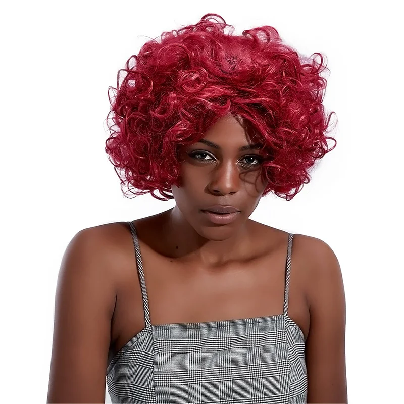 

Short Curly Synthetic Wigs for Black Women Burgundy Afro Hair Wigs Adult Female African Wig Heat Resistant Fiber OEM HPHR-018