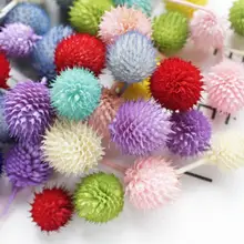 100 шт сушеная Сохраненная Цветочная Gomphrena Globosa L для свадебной вечеринки, дома, отеля, украшения, DIY букет, проектная принадлежность