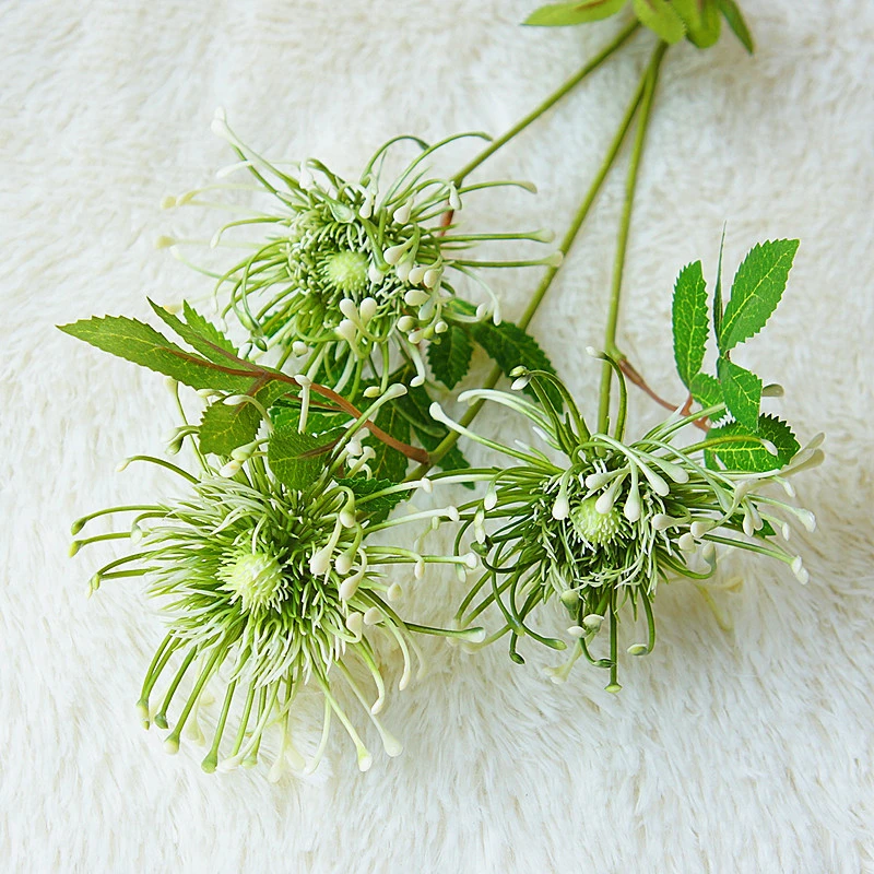 10697738180_874253957