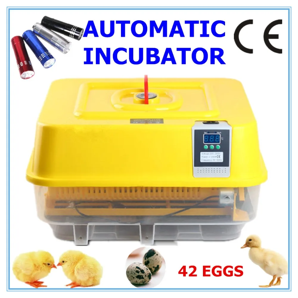 Aliexpress.com : Buy Automatic Chicken Egg Incubator ...