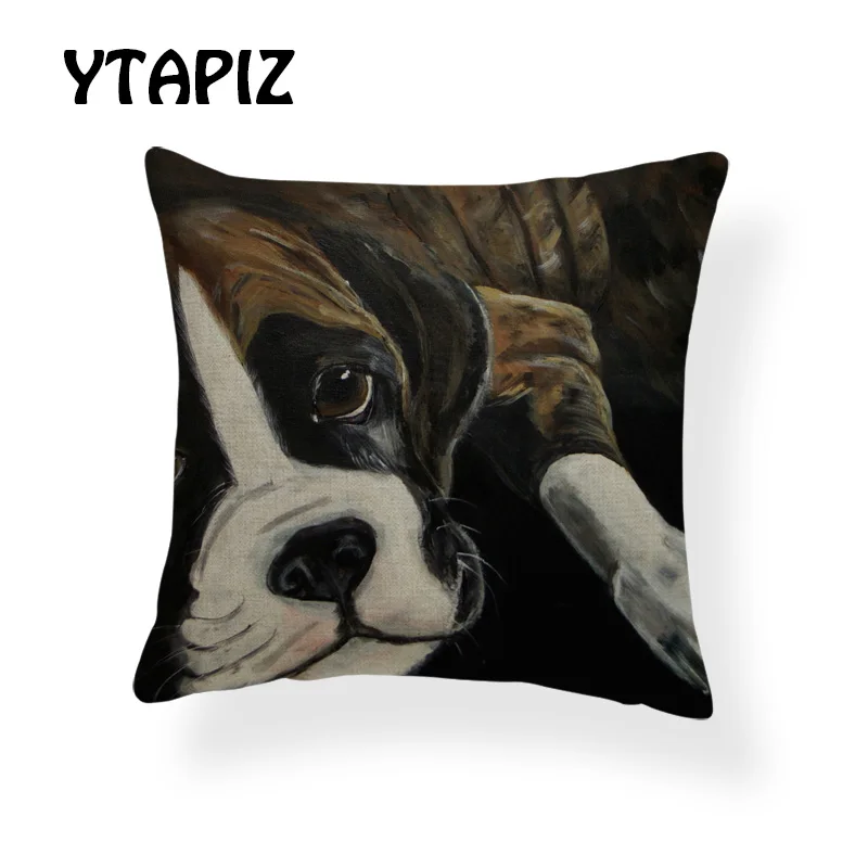 AB9166 (14) boxer dog