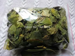 

Free shipping, Chinese ginkgo biloba, green tea, to drink with hot boiled eight minutes later! food Oolong Tea