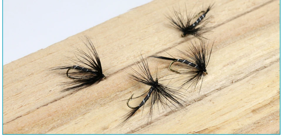 midge-fly_05
