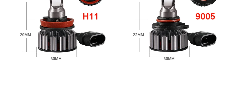 k9_20