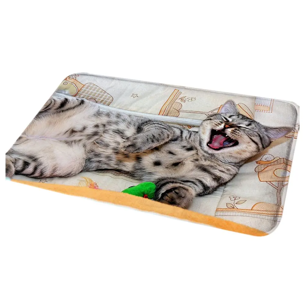 Modern Living Room Carpet Non slip Bath Mat Bathroom Kitchen Rugs Floor