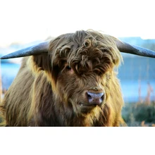 Хайленд Корс DIY Алмазная картина вышивка мозаикой из стразов алмаз для декора комнаты на заказ