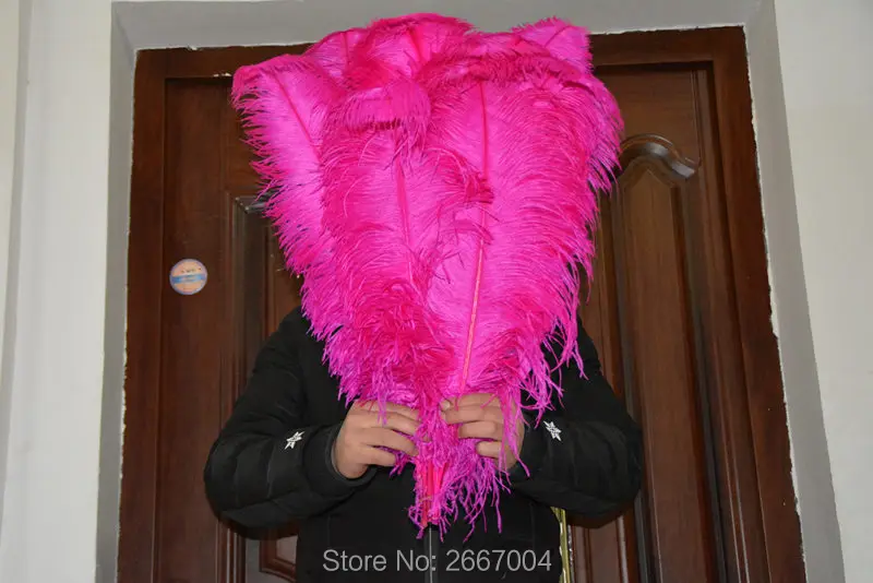 Перья Высокое качество! 50 шт. розовый натуральные перья страуса 60-65 см 24-26 дюймов "перо Свадебные центр внимания