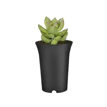 5pcs 9*12cm Succulent Plant Flower Pot Plastic Holder Thickened Round High Waist Nursery Seed Storage Pot Container Garden Decor