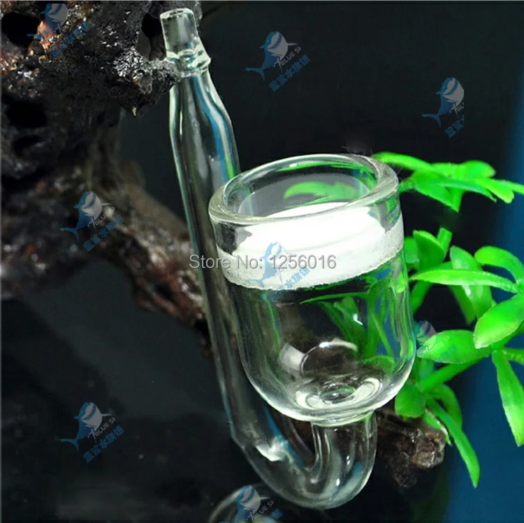 glass diffuser.jpg