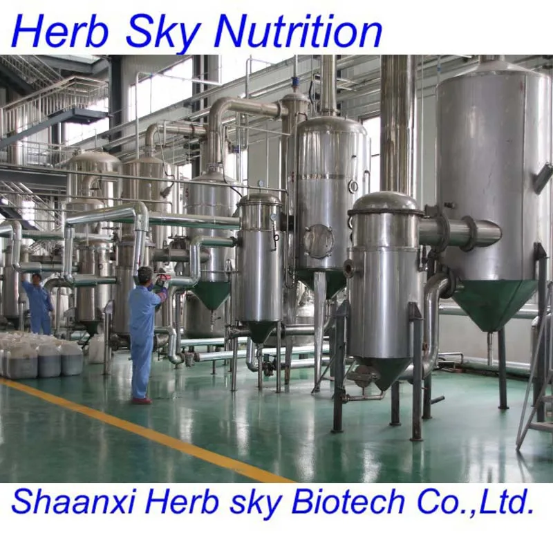 Расторопша пятнистая Выдержка 80% Силимарина (UV) Silybins&gt 30 (ВЭЖХ) 400 г/лот бесплатная