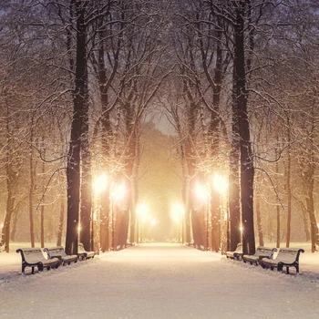 

Large Cheap Home Decorative Poster Winter Evening City Landscape Picture Wall Art On Canvas