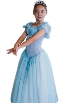 

Hot Blue Tutu Danse Classique Adulte Ballett Professional Ballet Costumes Ballerines Dress For Children Girls Jupe Dancewear