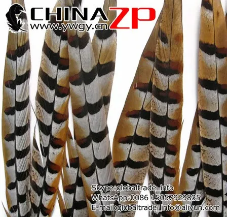 Pheasant Tail Feathers, 50 Pieces - 18-20NATURAL Reeves Venery Pheasant Tail Feathers3