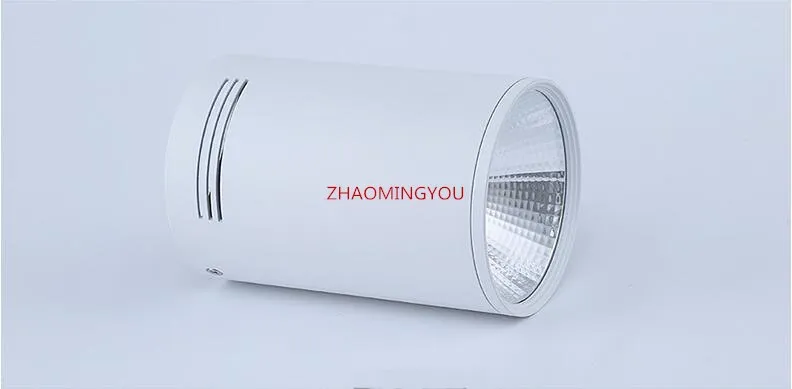 2020 Surface Mounted Dimmable COB LED Downlights 6W 9W 12W 20W 25W 30W LED Ceiling Lamps Spot Light Downlights AC85-265V