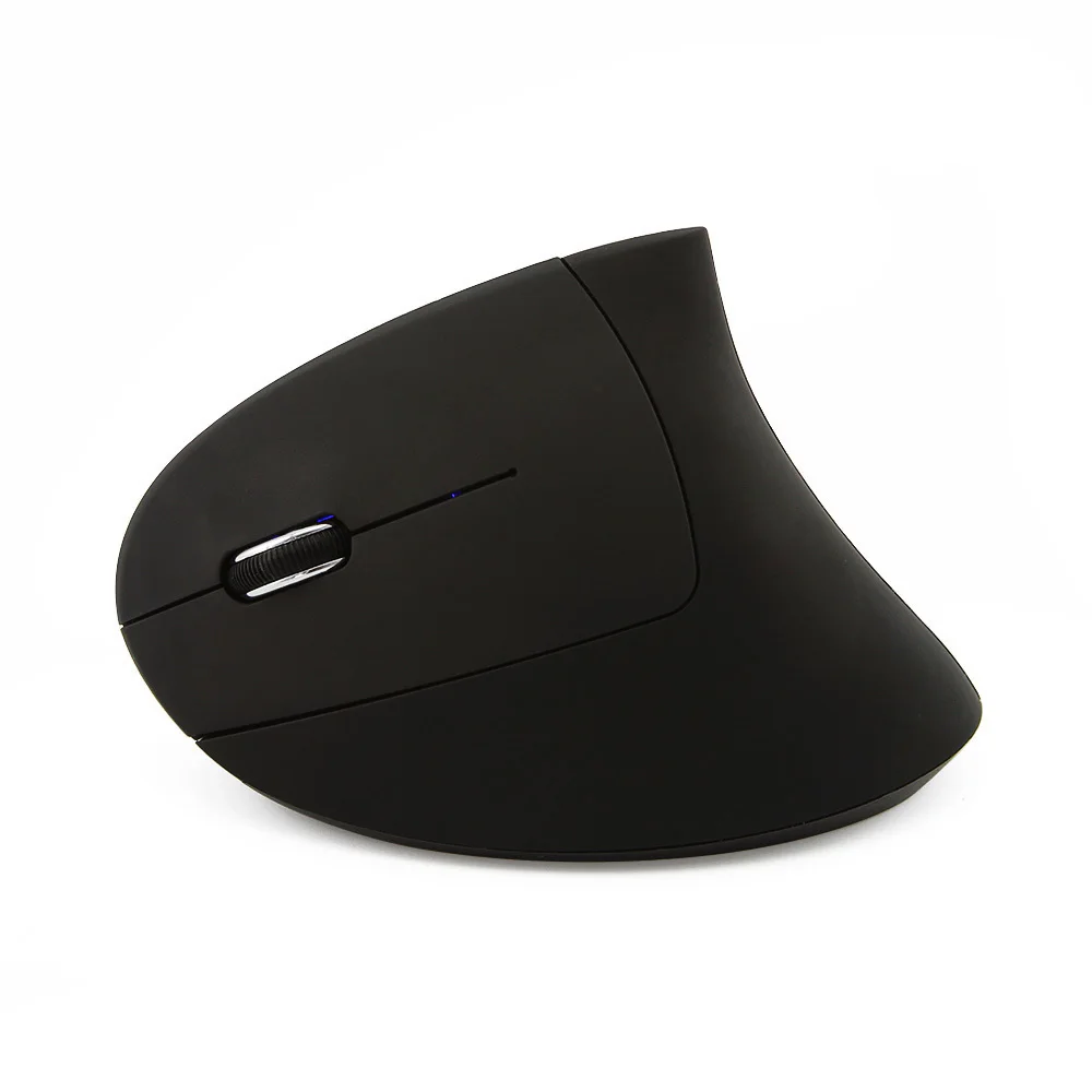 computer mouse 