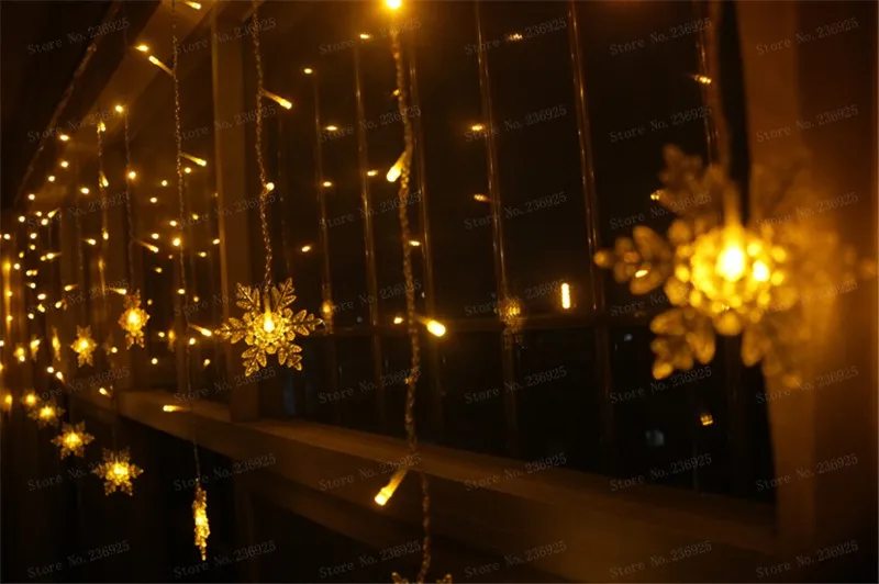   (1)