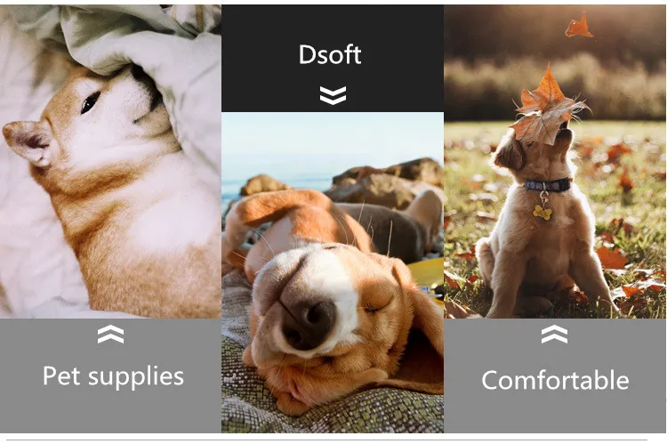 4958990979_1847764777 (1)