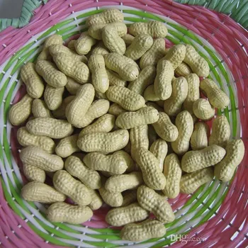 

Artificial Fake Peanut Simulation Plastic Fruit Peanuts For Baby Educational Home Decor Wedding Christmas Party Decoration