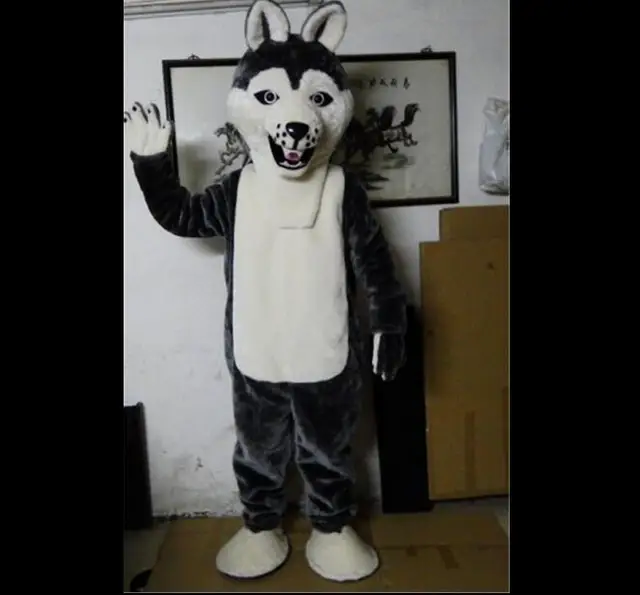 Fancy Gray Dog Husky Dog With The Appearance Of Wolf Mascot