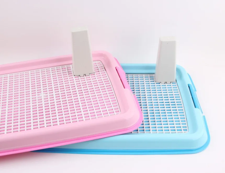 Dog Pee Tray Training Dog Pee Tray Training