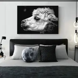 Альпака животных фотографии Wall Art Печать на холсте для Гостиная черный и белый Животные холст Картины Nordic украшения стены