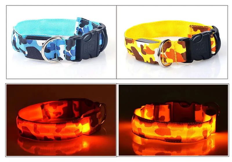 collar-for-dogs