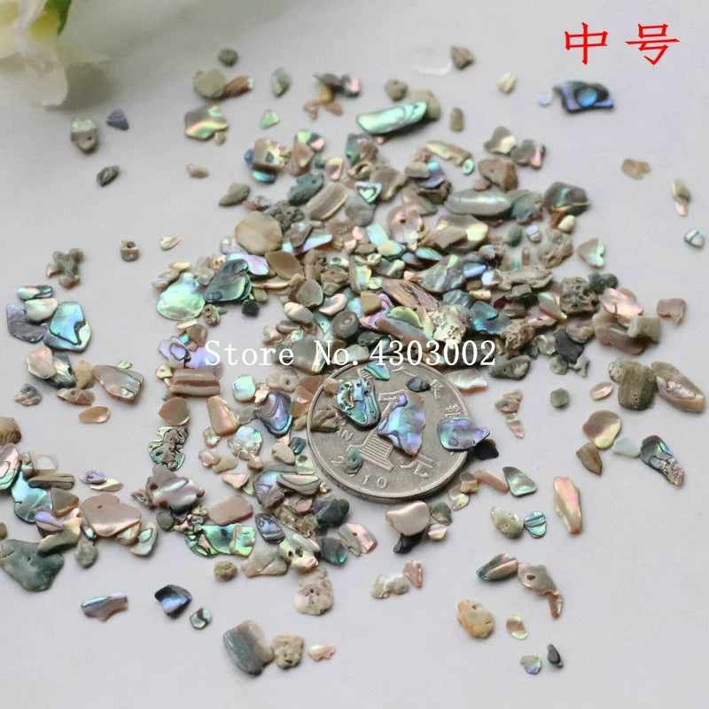 

100g/lot Natural Crushed Abalone Shell Mother of Pearl shell for DIY Jewelry Crushed Shell MOP Pearl shell for fake nails