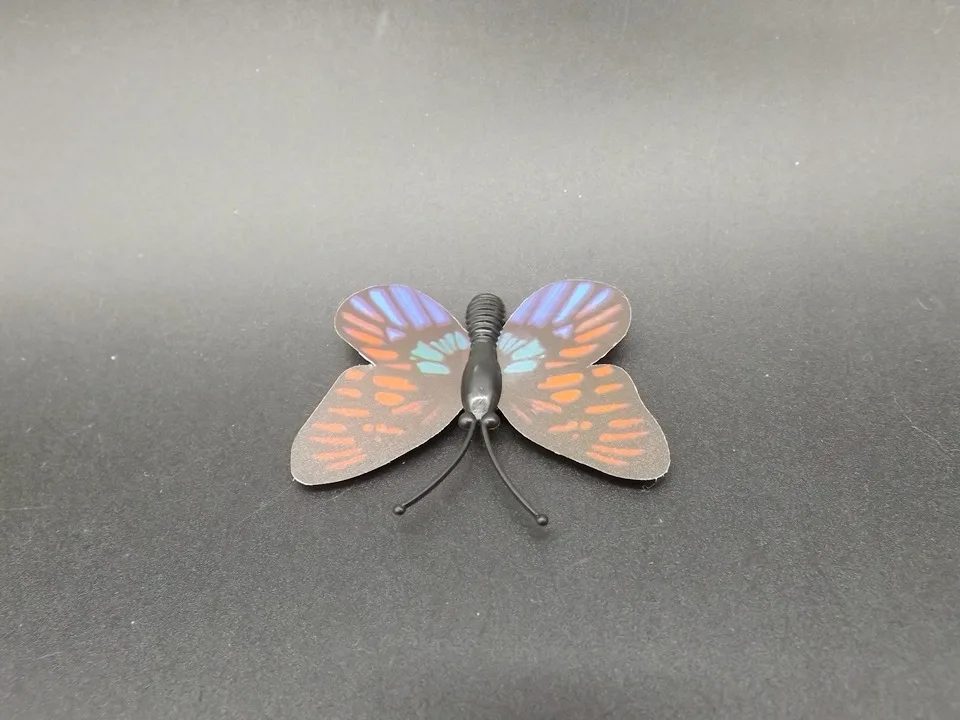 I246-Butterfly (8)