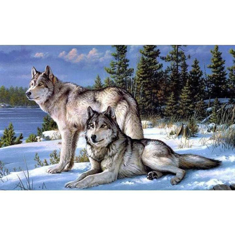 square-drill-30x40-cm-12x16-inch-clearance-majestic-wolf-couple-5d-square-diamond-painting-7388695265334_720x.progressive
