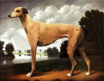 

100%HIGH QUALITY ANIMAL OIL PAINTING ON CANVAS : "DOG"