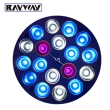 Rayway E27 2UV 10Blue 6White LED Coral Reef Grow Light High Power Fish Tank bulb Lamp LED Aquarium Light