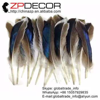 

ZPDECOR 10-15cm 100 pieces/lot Beautiful Pattern Iridescent BLUE MIX Mallard Duck Wing Wholesale Feathers