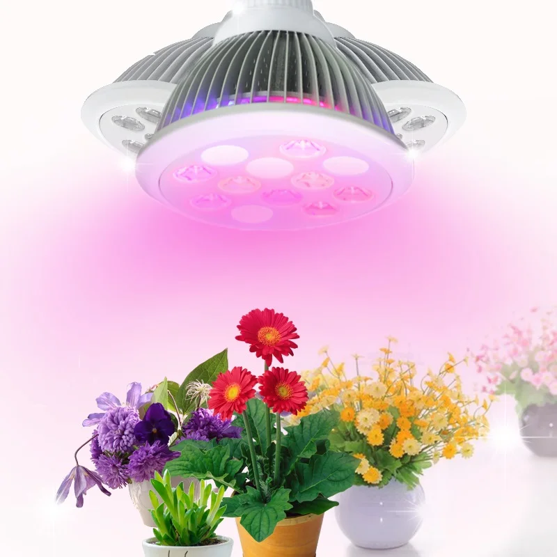 grow lights 