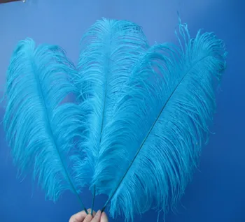 

Cheap! Beautiful sky blue ostrich feathers 50 pcs 14-16 inches / 35-40 cm Free Shipping