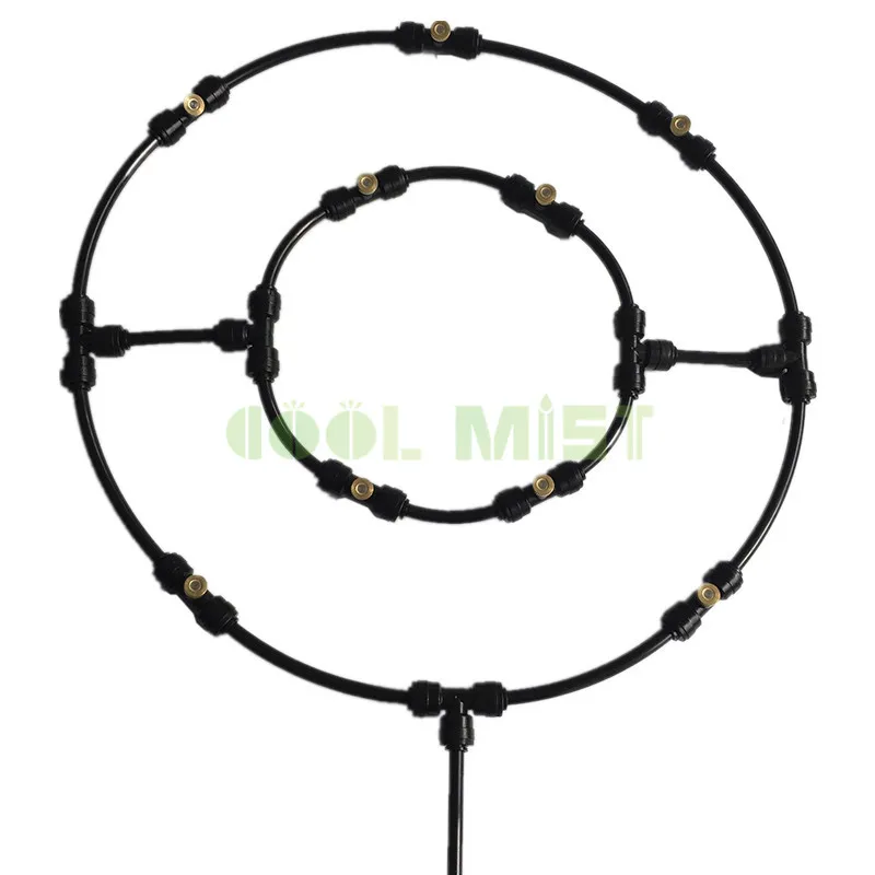double ring (2)