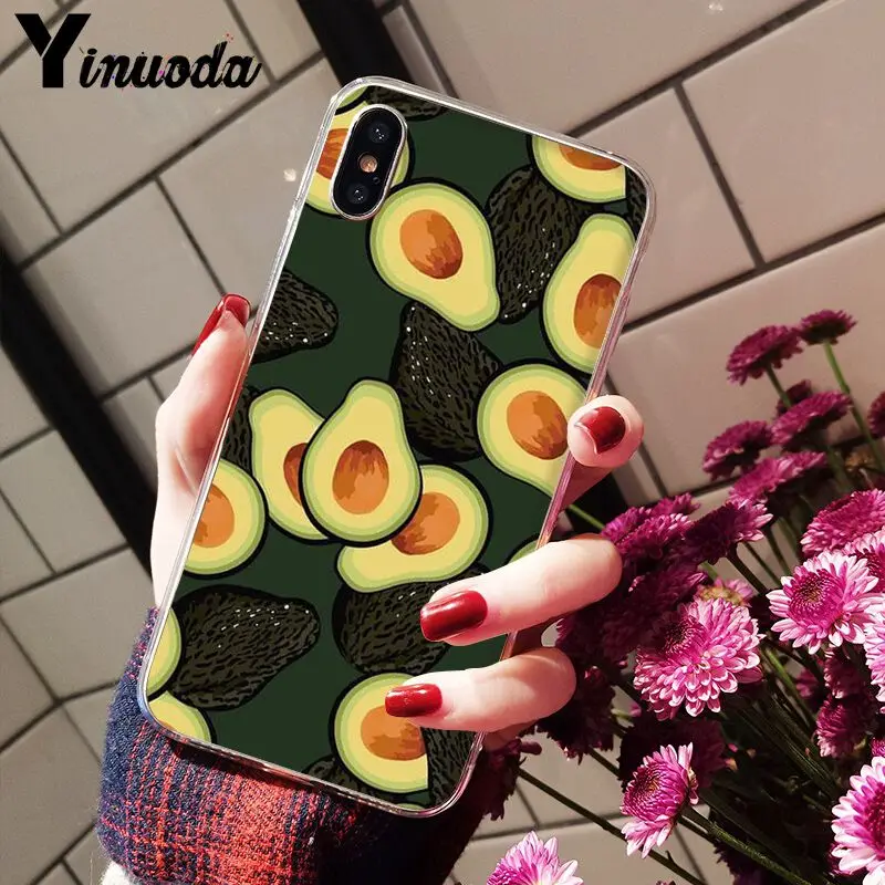Avocado
