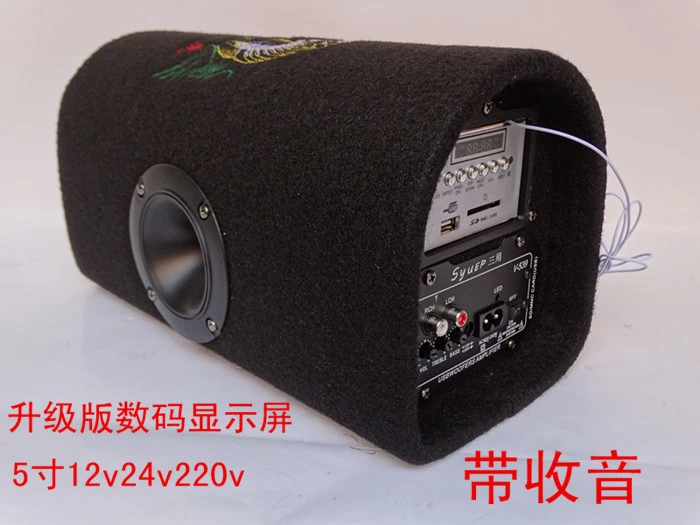 mini subwoofer speaker for car