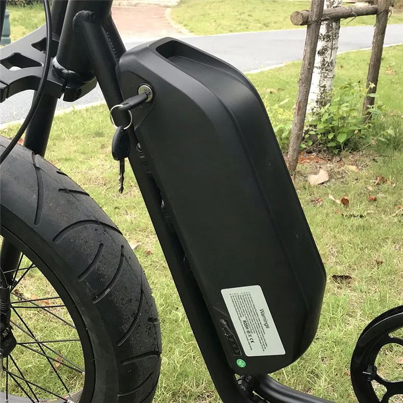 20 inch Halley Fat Tire Electric Bike-8