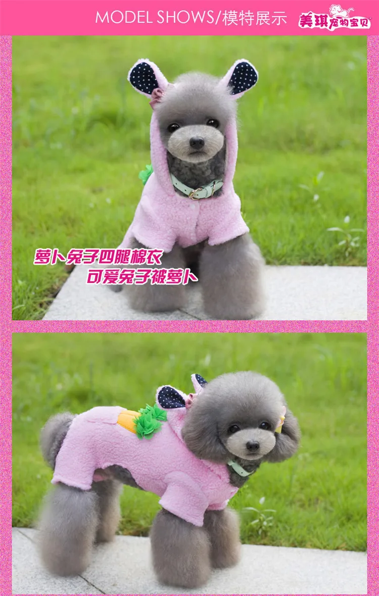 dog clothing 34