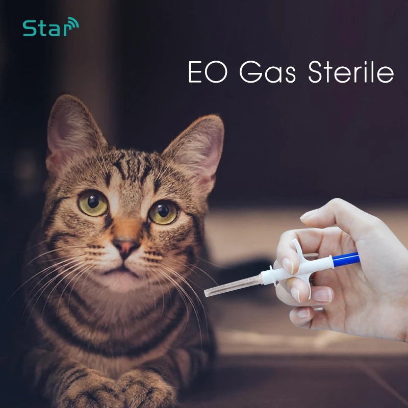 tracking cat with microchip