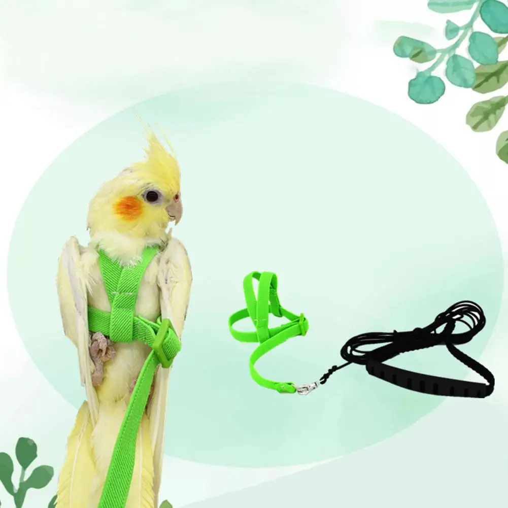 Pet Parrot шлейка для птицы поводок Летающий канат ремни для тренировок на открытом воздухе Тяговый канат для буджеригара Lovebird Cockatiel Маленькие Птицы