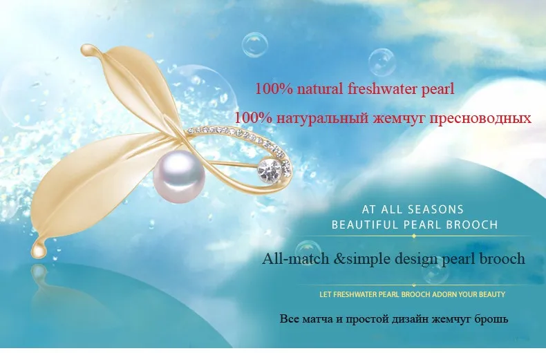 HTB1lHL2MVXXXXc.XXXXq6xXFXXXP