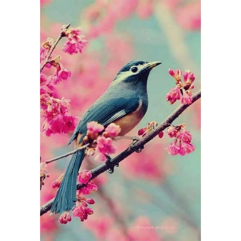 

Full Square/Round Drill 5D DIY Diamond Painting "Animal bird" 3D Embroidery Cross Stitch Mosaic Rhinestone Home Decor Gift